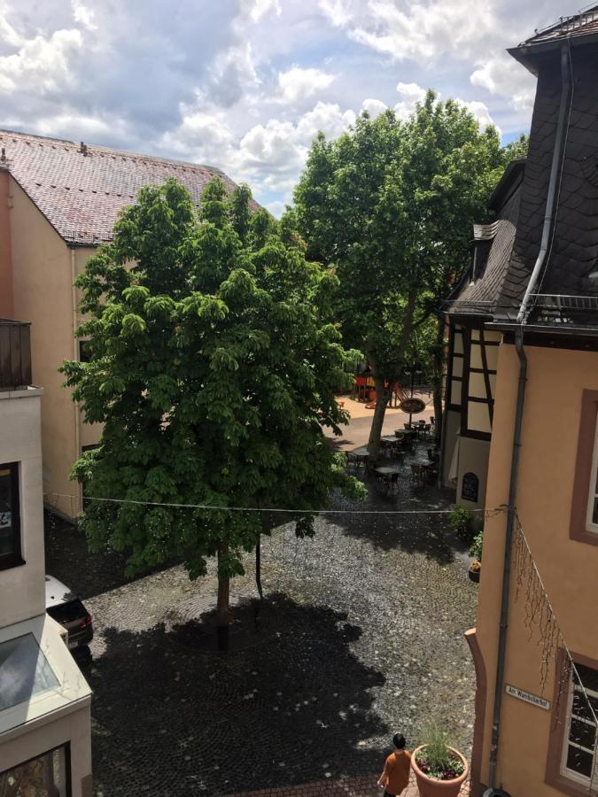3 Apartments Am Wambolter Hof 3 本斯海姆 外观 照片
